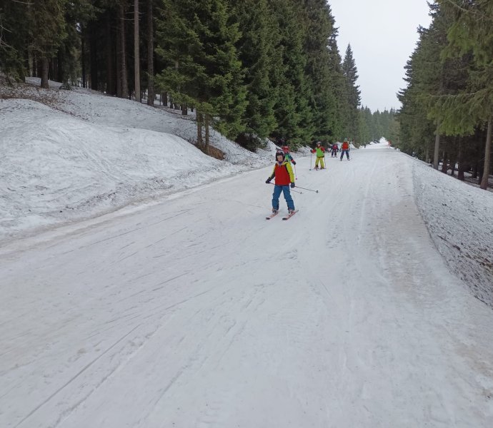 Obrázek galerie  24287