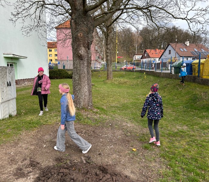 Obrázek galerie  24228