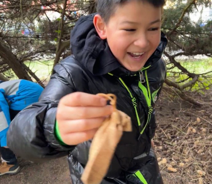 Obrázek galerie  24235