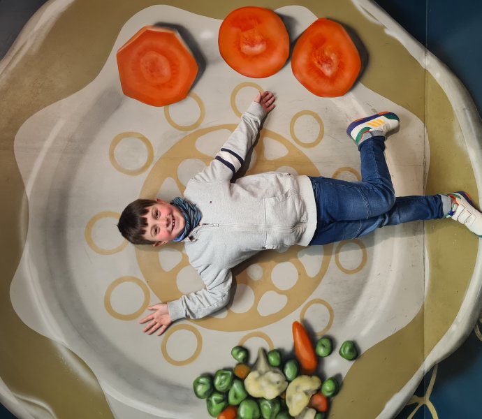 Obrázek galerie  25343