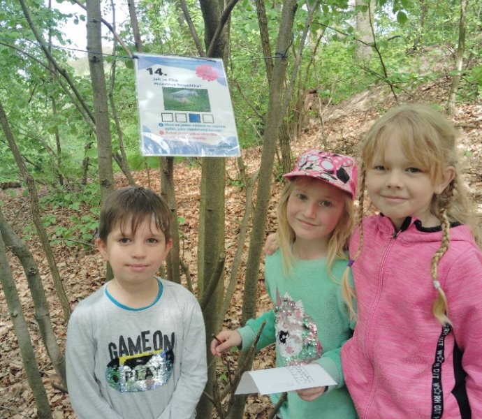 Obrázek galerie  25845