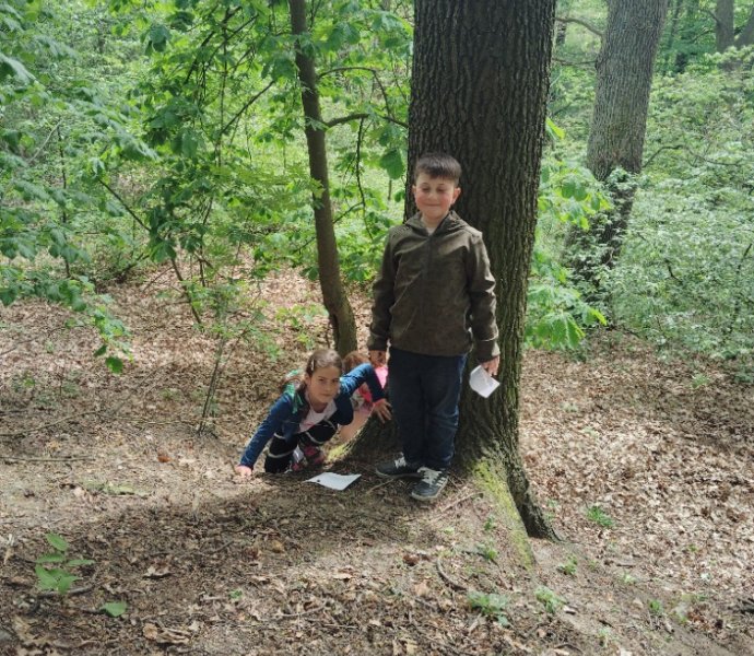 Obrázek galerie  25849