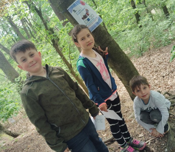 Obrázek galerie  25850