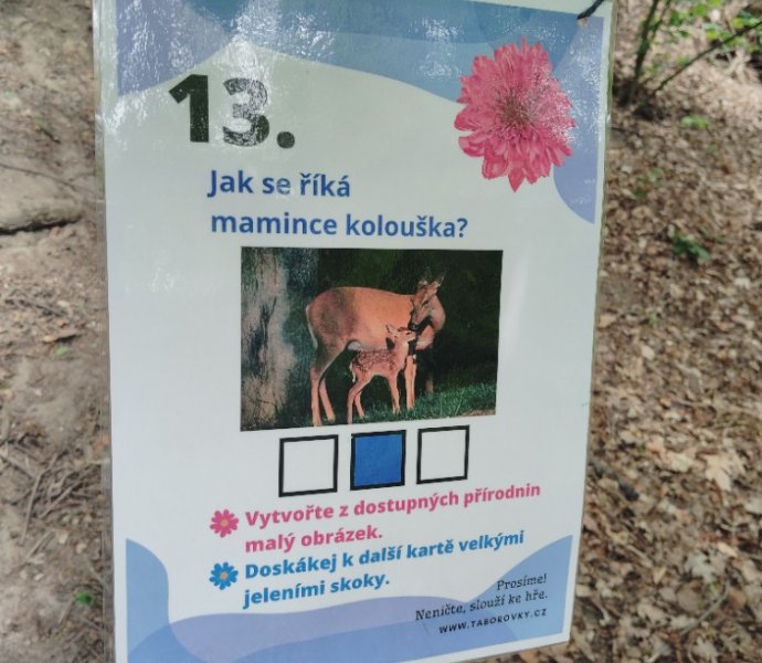 Obrázek galerie  25851