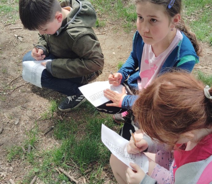 Obrázek galerie  25855