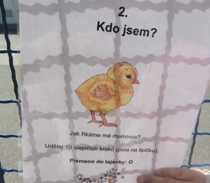 Obrázek galerie  25871