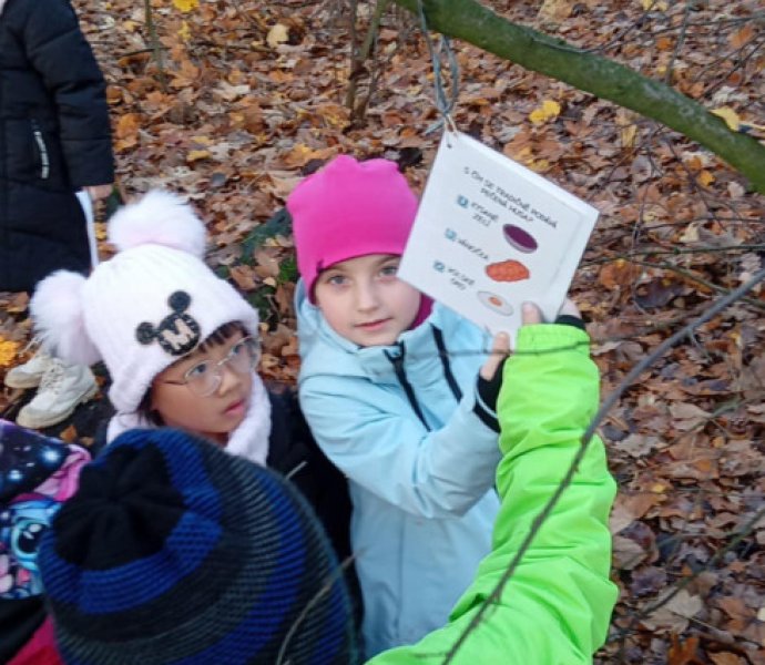 Obrázek galerie  32833