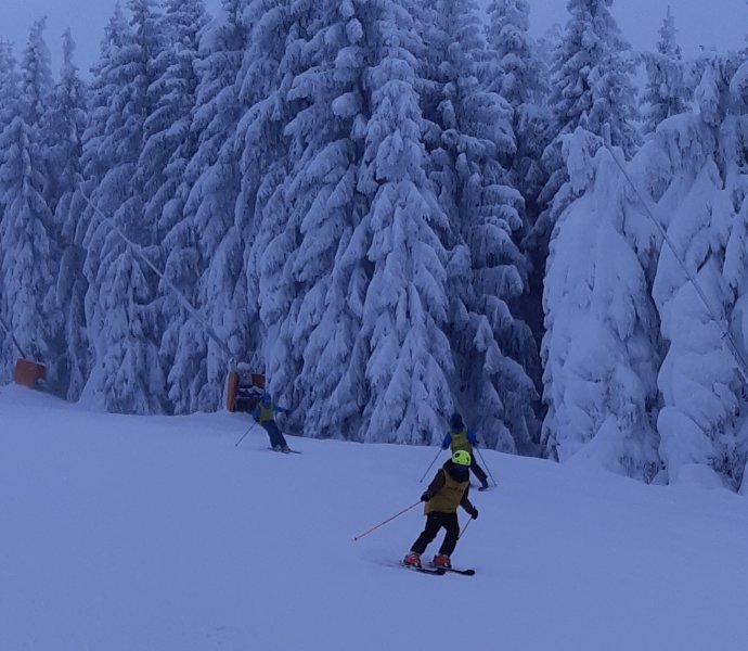 Obrázek galerie  33913