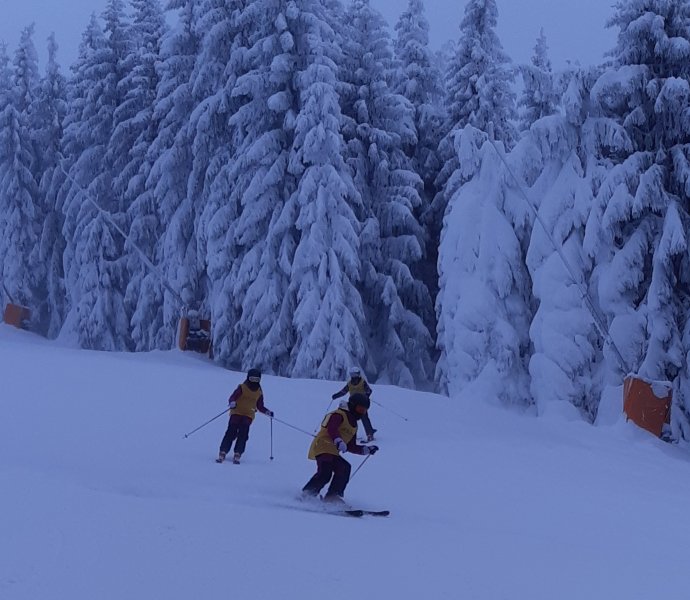 Obrázek galerie  33914