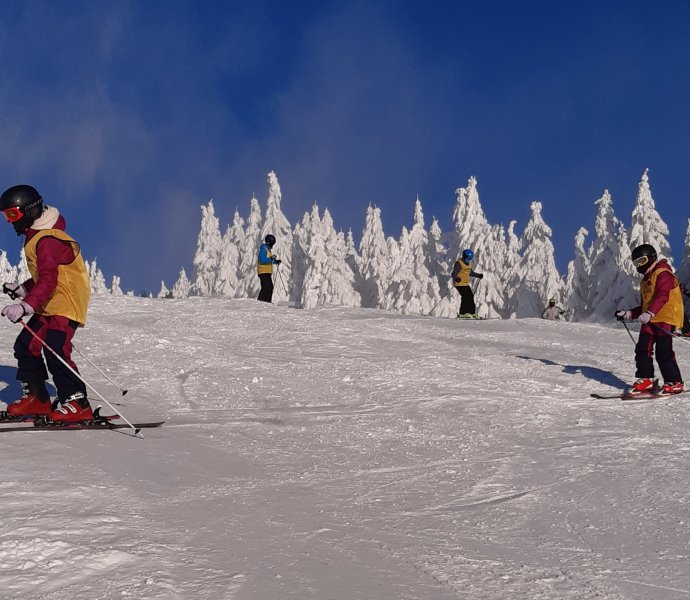 Obrázek galerie  33939