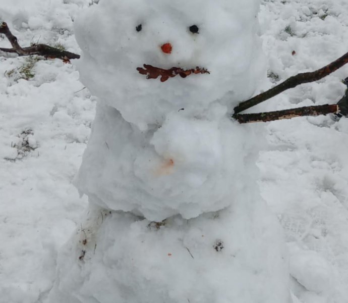 Obrázek galerie  34088