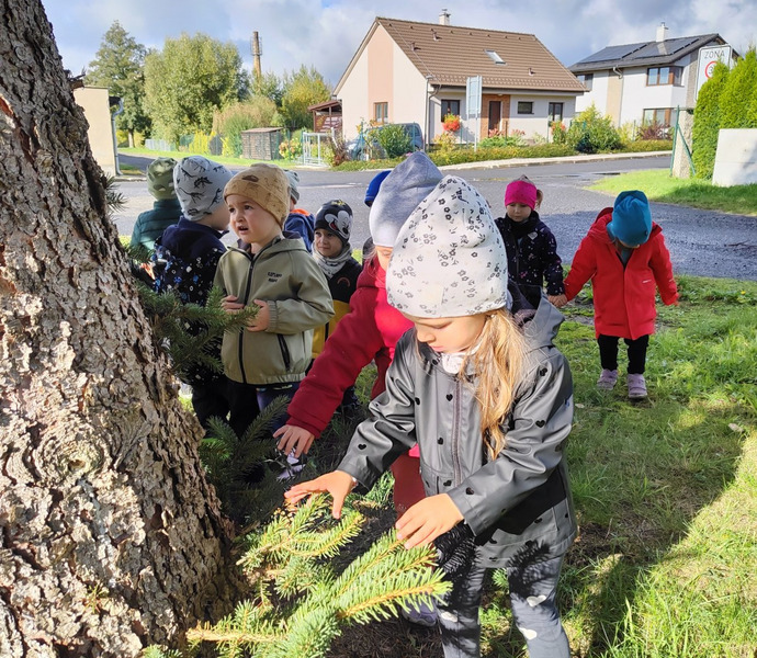 Obrázek galerie  34201