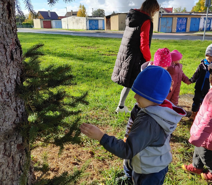 Obrázek galerie  34202