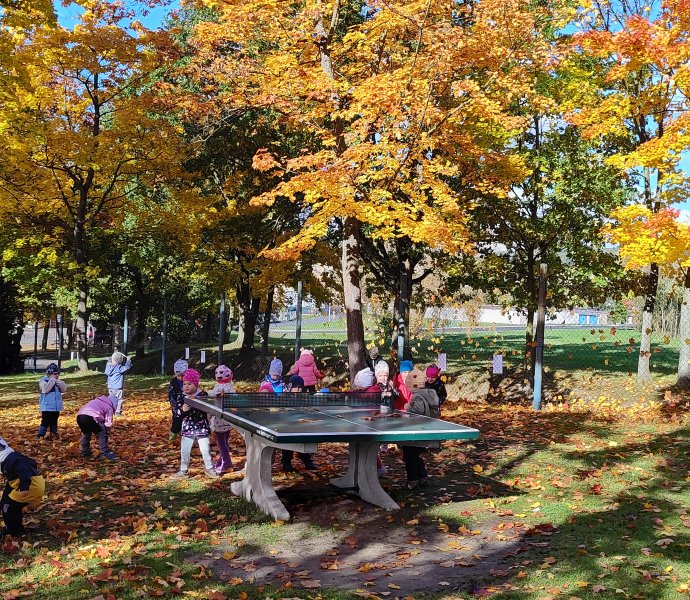 Obrázek galerie  34210