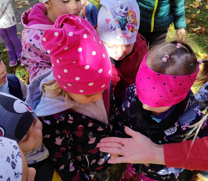 Obrázek galerie  34212