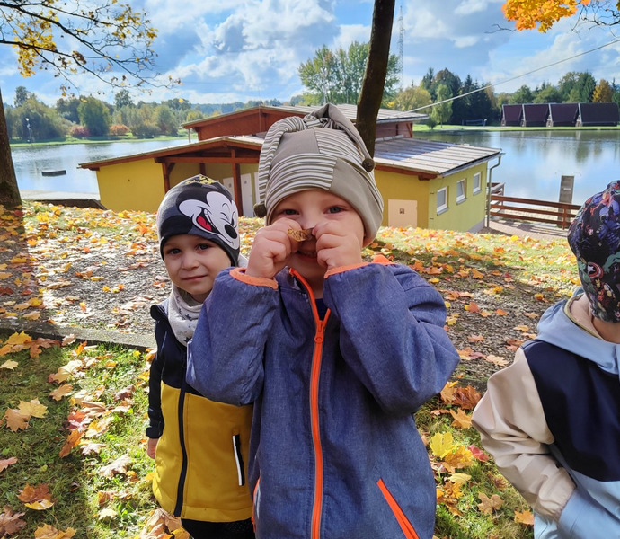 Obrázek galerie  34218