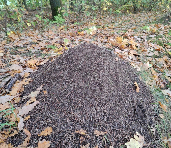 Obrázek galerie  34223