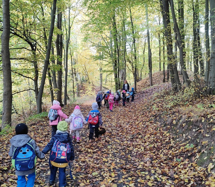 Obrázek galerie  34235