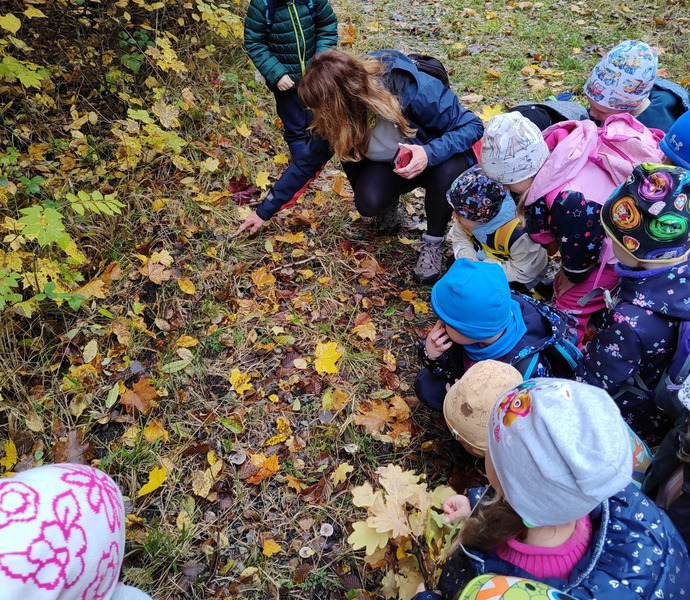 Obrázek galerie  34238