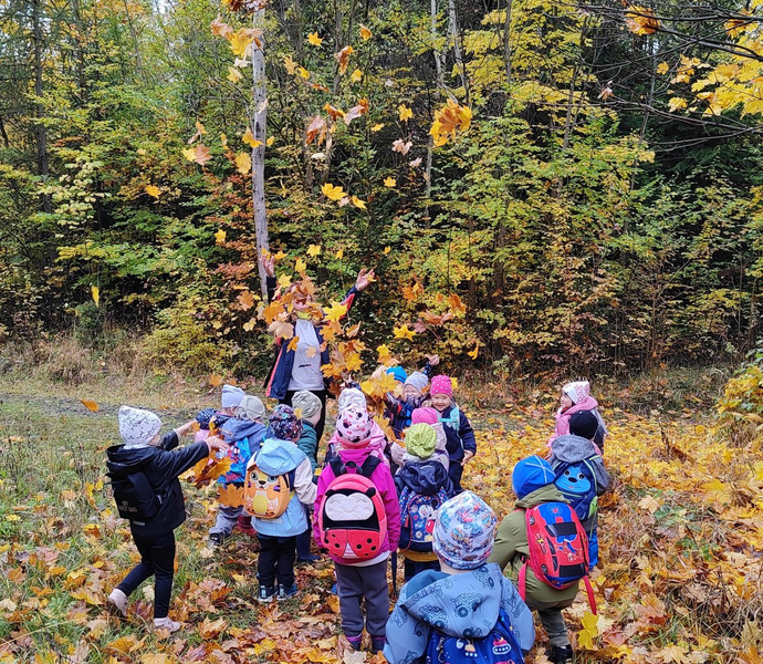 Obrázek galerie  34242