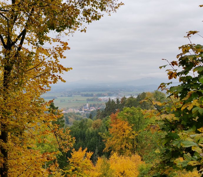 Obrázek galerie  34244