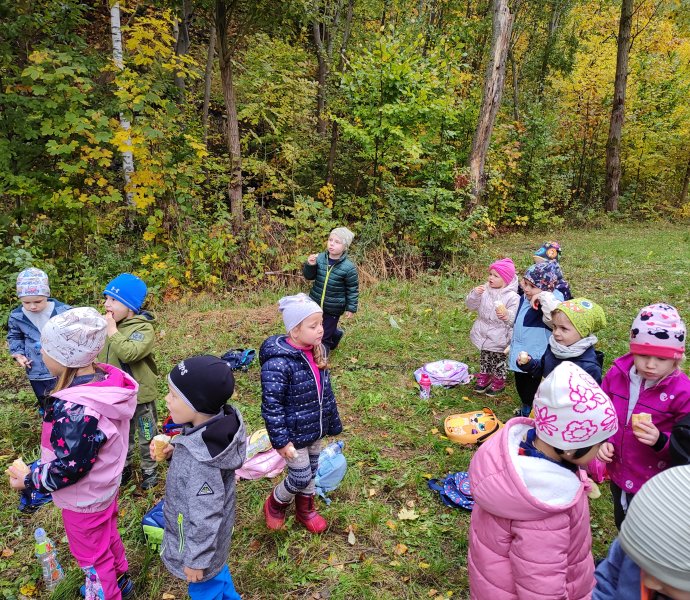 Obrázek galerie  34249