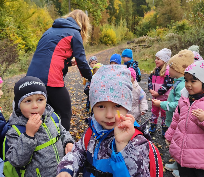 Obrázek galerie  34252