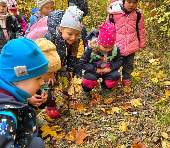 Obrázek galerie  34257