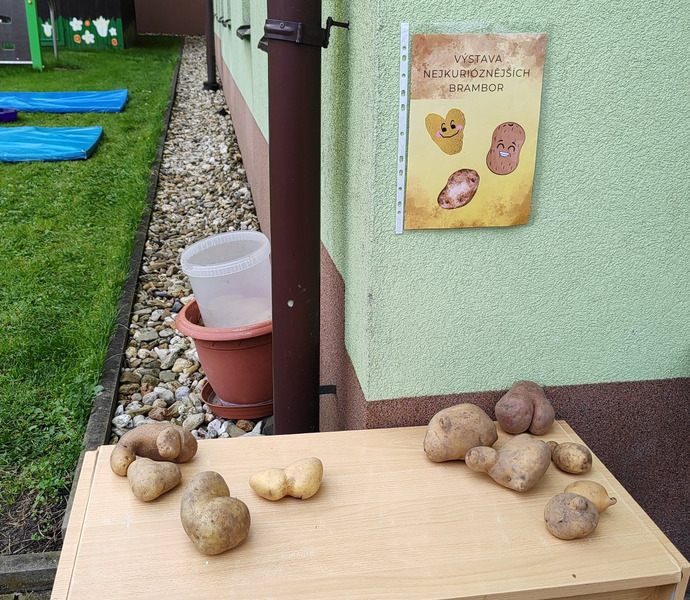 Obrázek galerie  34314