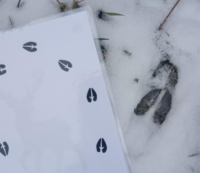 Obrázek galerie  34600