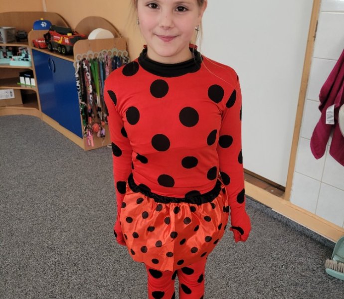 Obrázek galerie  34725