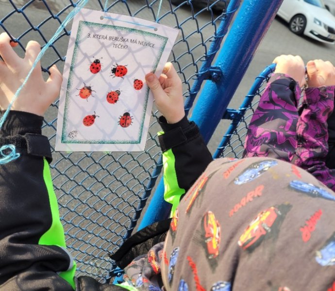 Obrázek galerie  34884