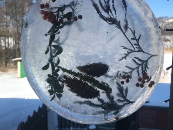 Výtvarná výchova distančně  - ledové ikebany 
