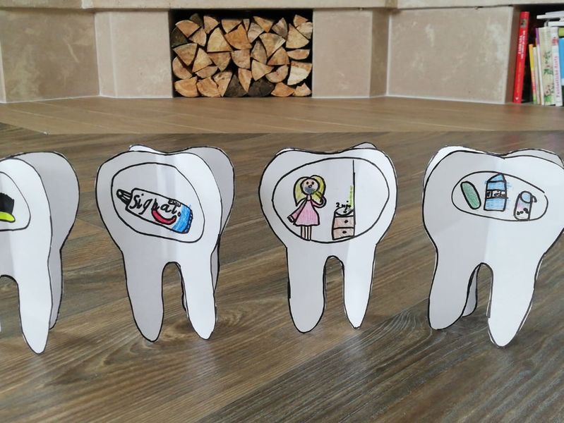 Naše zuby