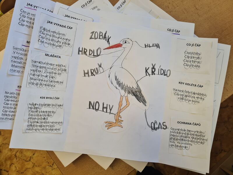 Tvoříme Lapbook -Čáp bílý