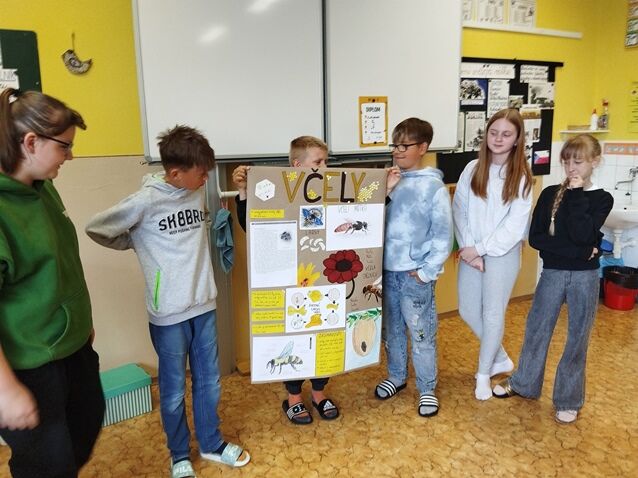 Projekt VČELY