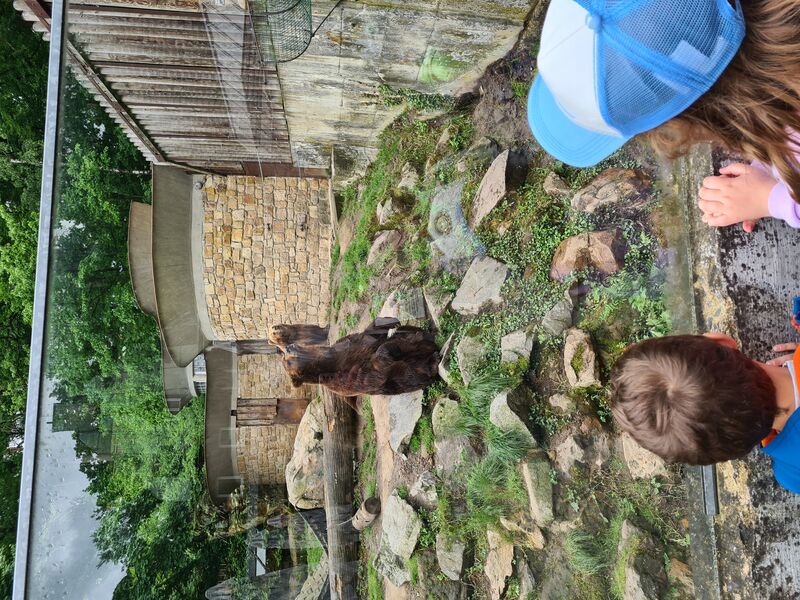 ZOO  Děčín