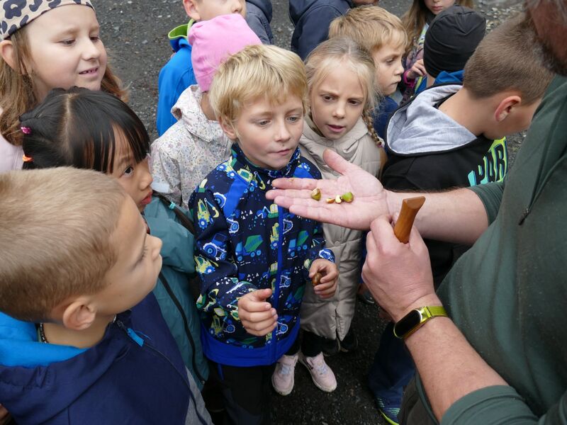 Lesní pedagogika aneb učíme se v lese 