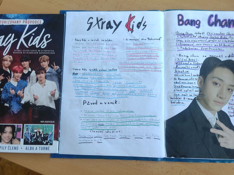 Projekt-má oblíbená hudební skupina, zpěvák